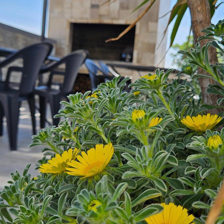 Villa Silver Starigrad Paklenica Buitenkant foto