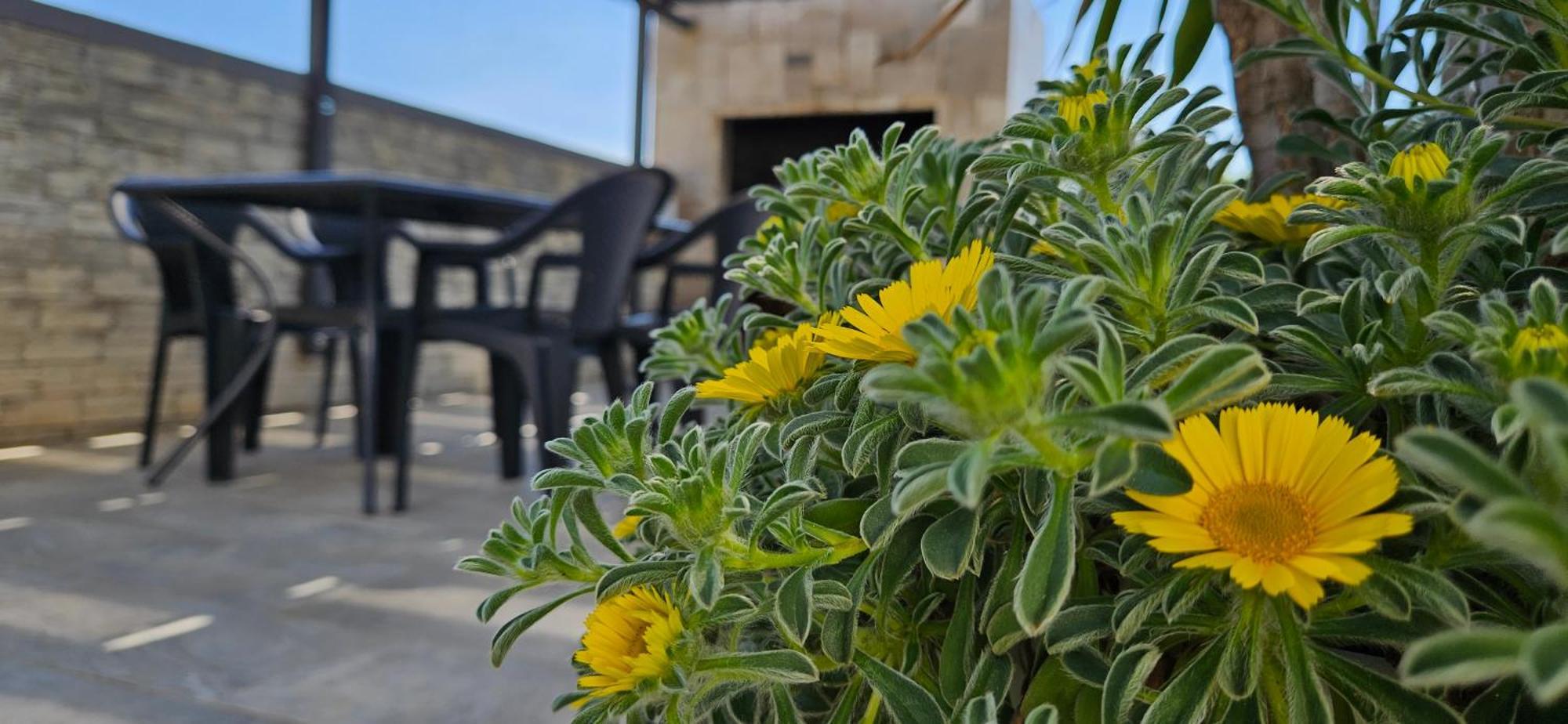 Villa Silver Starigrad Paklenica Kamer foto